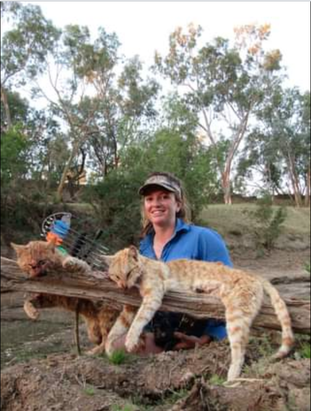 Trapping Cats Part 3 Ethics of Killing Stray Cats Dick Callahan